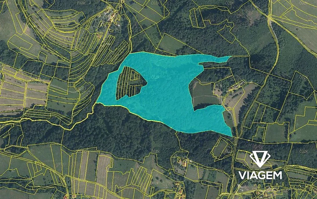 Prodej podílu 1/4 lesa 21687 m²