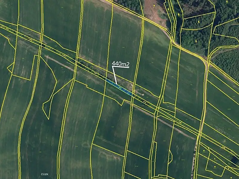 Prodej pole 2939 m², Borovnice – náhled fotky 2