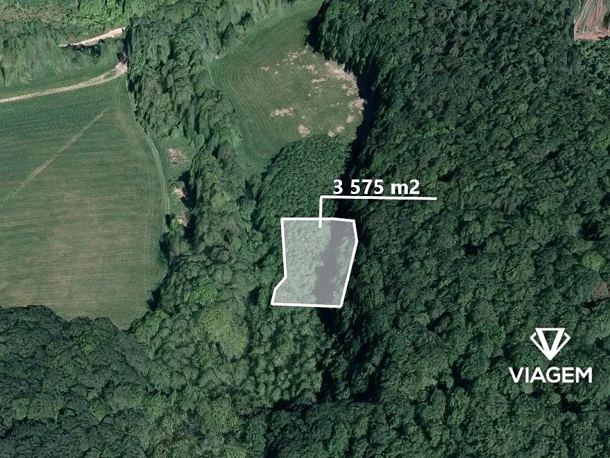 Prodej podílu 5/8 lesa 2234 m²