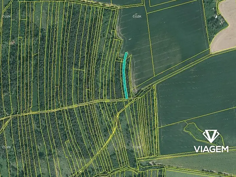 Prodej lesa 1490 m², Blížejov – náhled fotky 3