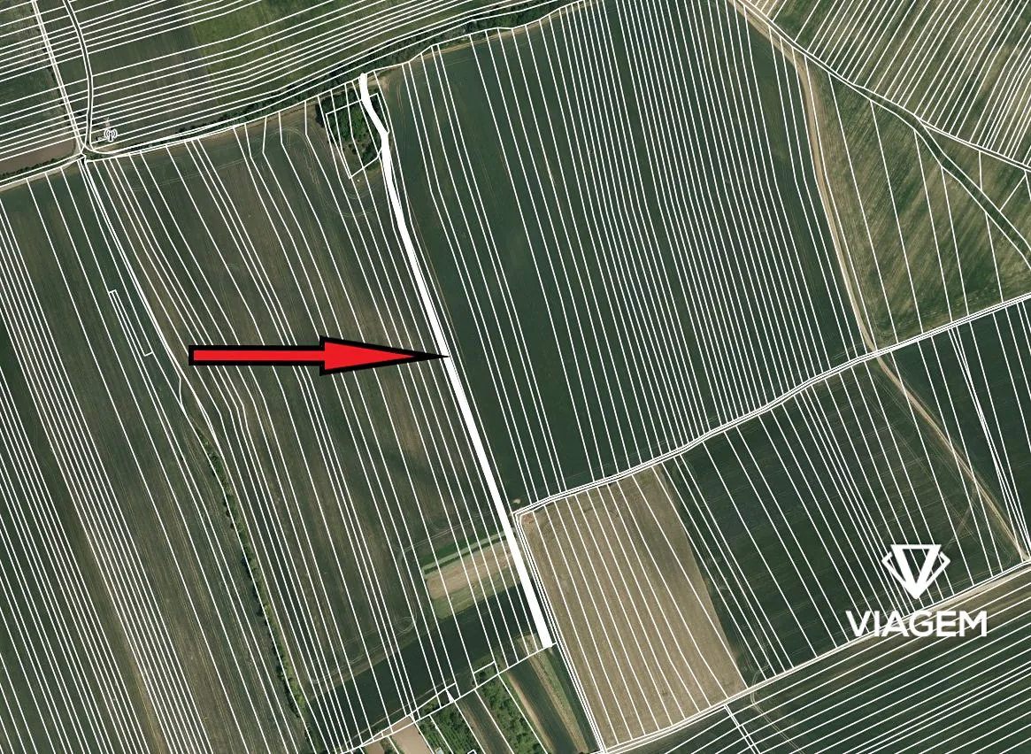 Prodej pole 2700 m²