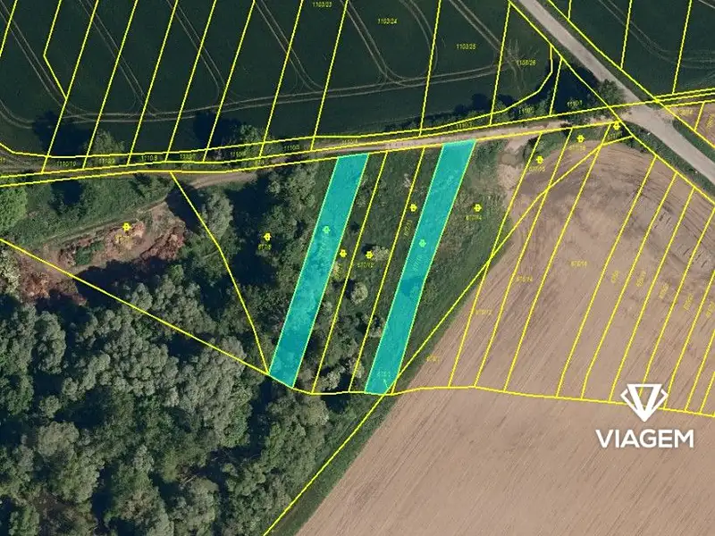 Prodej pole 1457 m², Choryně – náhled fotky 3