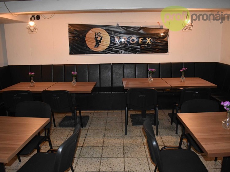 Pronájem komerčního prostoru, 220 m² (6 z 12)