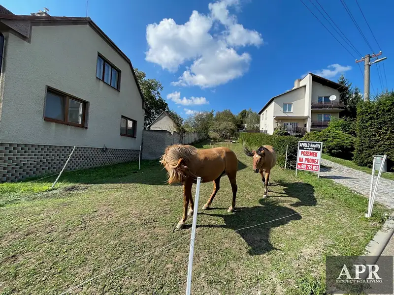 Prodej stavebního pozemku 1279 m², Pašovice – náhled fotky 2