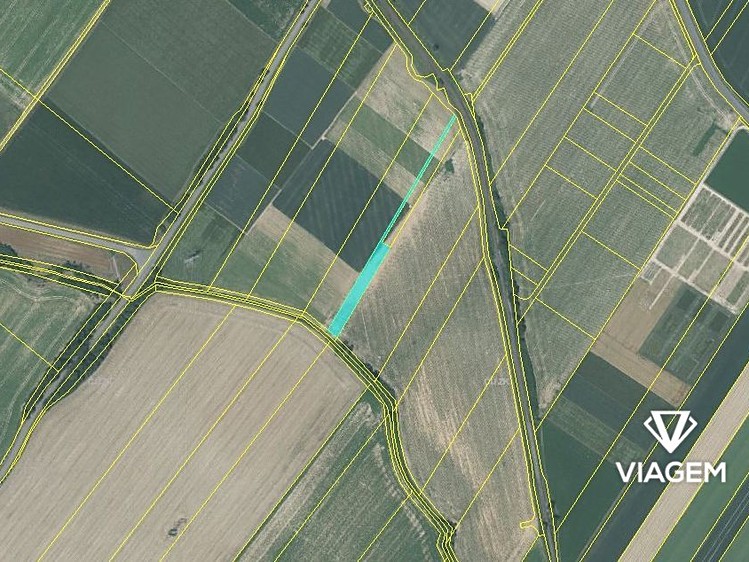 Prodej pozemku, 998 m² (3 z 4)