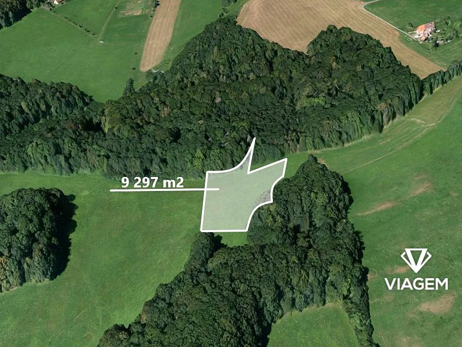 Prodej podílu 1/3 pole 3099 m²