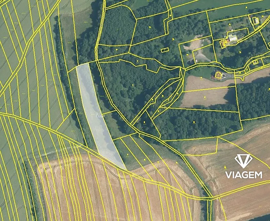 Prodej podílu 1/4 pole 1393 m²