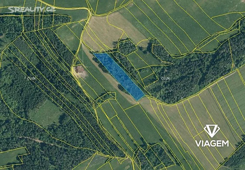 Prodej podílu 1/3 lesa 3080 m² – pohled 3
