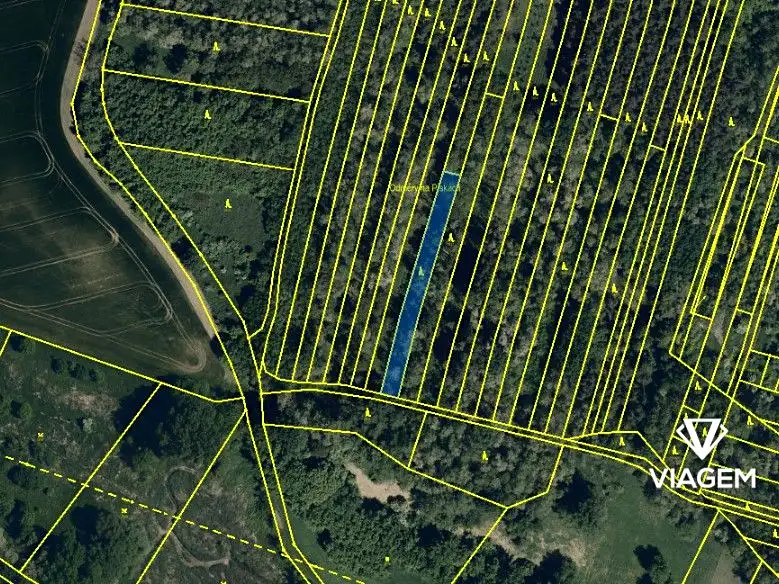 Prodej lesa 1274 m², Hovorany – náhled fotky 3
