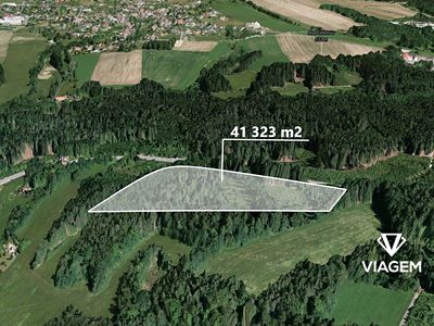 Prodej lesa 41323 m²