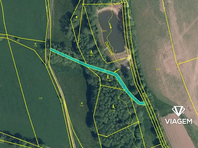 Prodej lesa 5621 m², Košťálov – náhled fotky 3