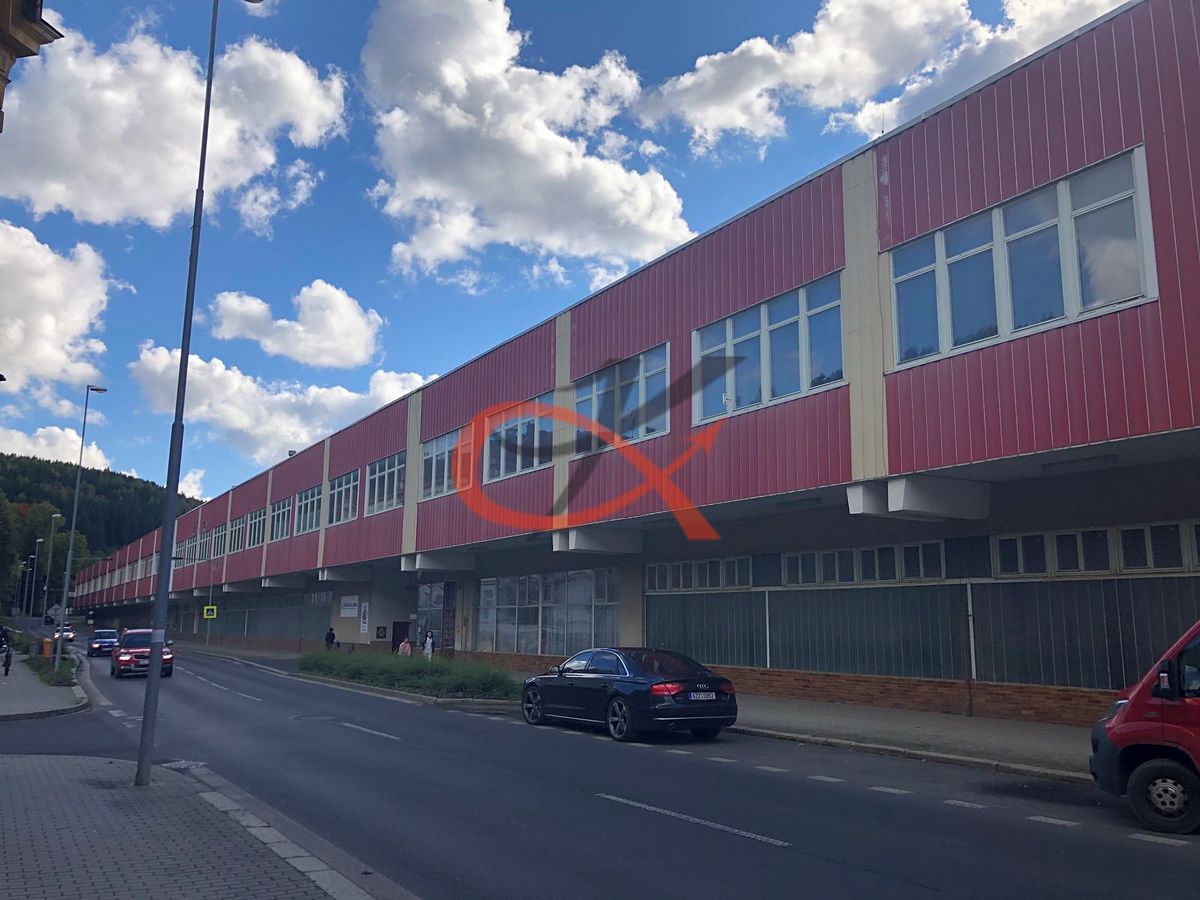 Pronájem komerční nemovitosti 800 m² – fotografie 5