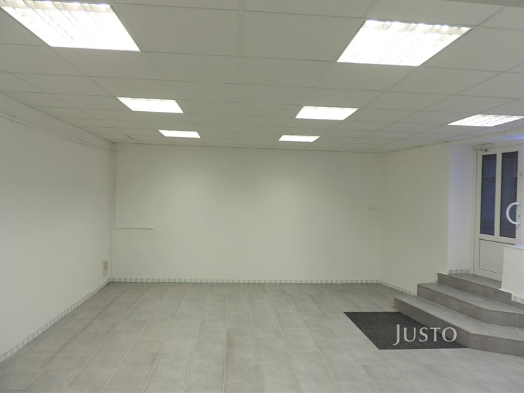 Pronájem komerčního prostoru, 56 m² (4 z 14)