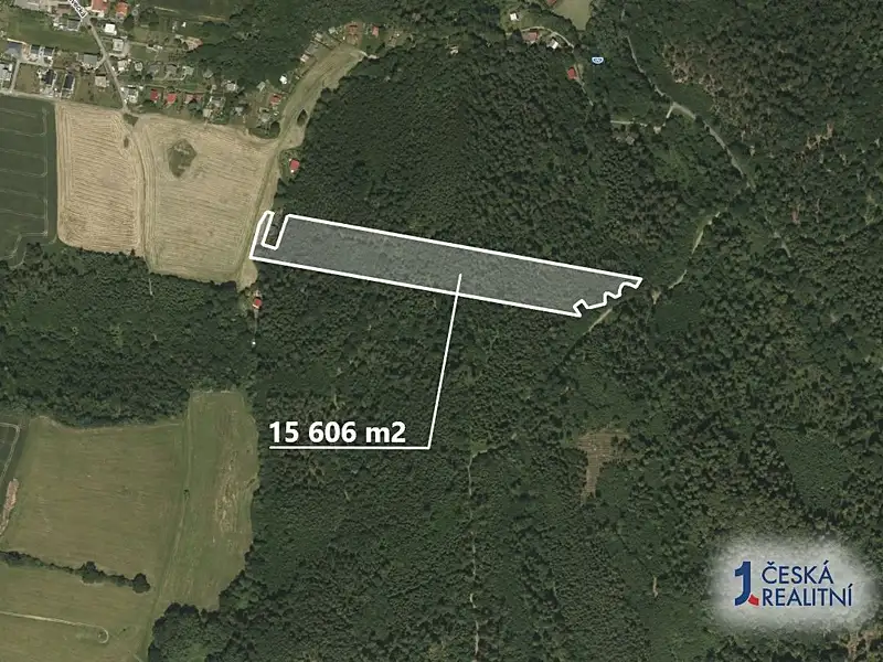 Prodej lesa 15606 m², Opava – náhled fotky 2