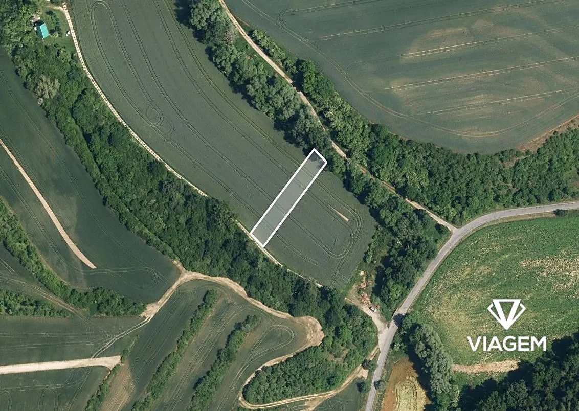 Prodej podílu 1/6 pole 228 m²