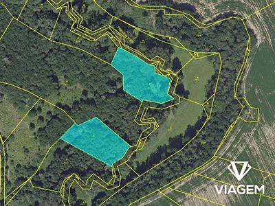 Prodej lesa 5555 m²