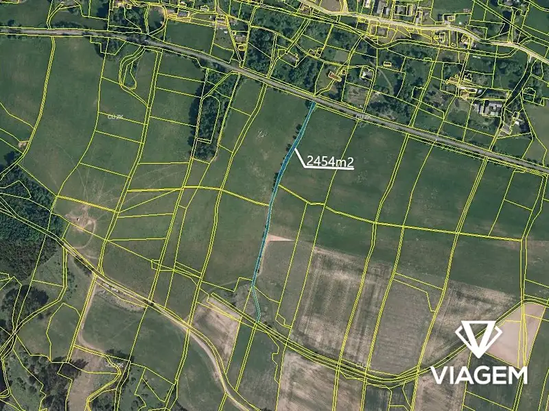 Prodej pole 2939 m², Borovnice – náhled fotky 1