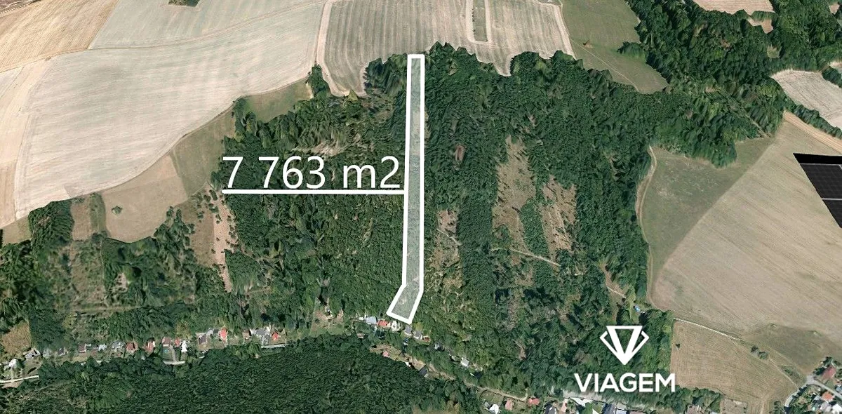 Prodej lesa 7763 m²