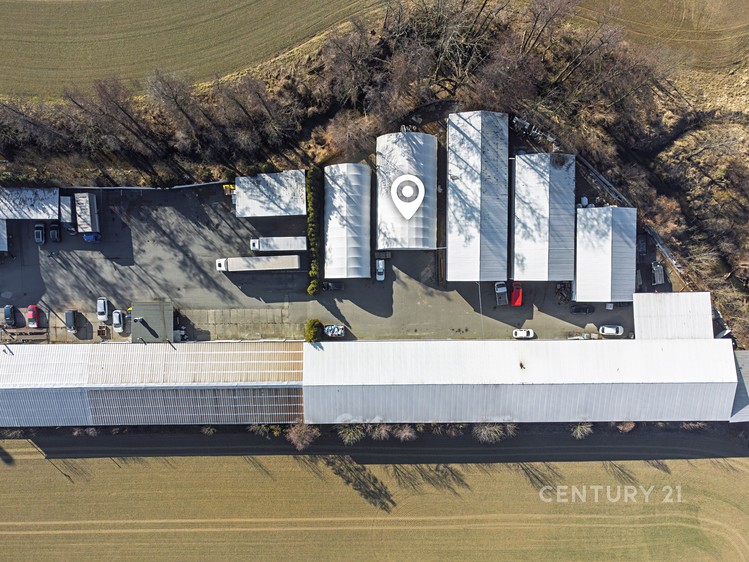 Pronájem komerčního prostoru, 270 m² (2 z 13)