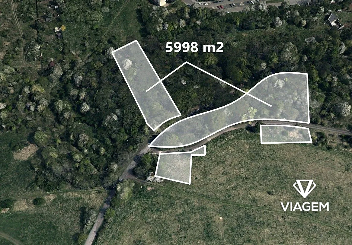 Prodej lesa 5998 m²