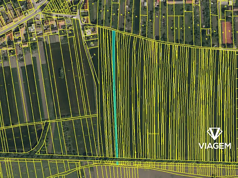 Prodej pole 6694 m², Kněždub – náhled fotky 3