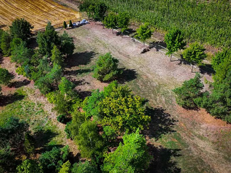 Prodej stavebního pozemku 901 m², Libědice – náhled fotky 3