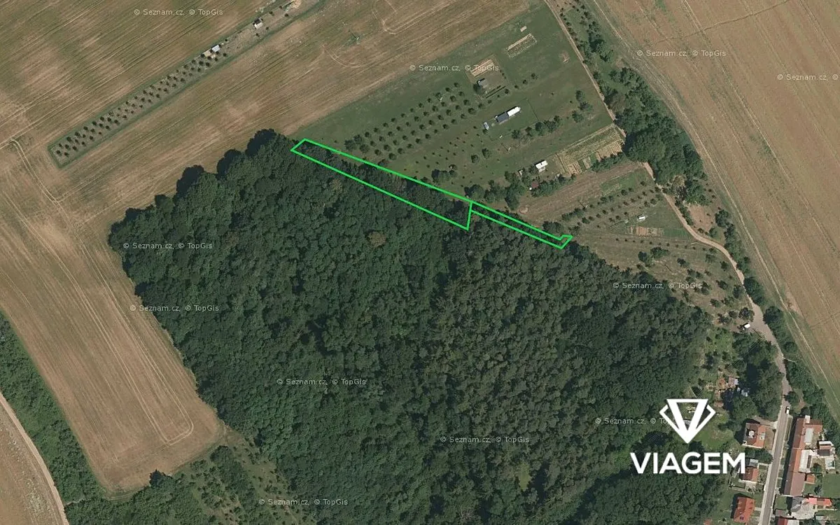 Prodej podílu 1/3 lesa 446 m²