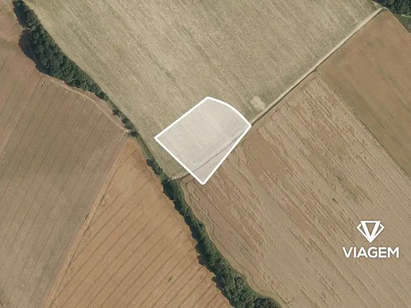 Prodej pole 3638 m², Rapotín – náhled fotky 2
