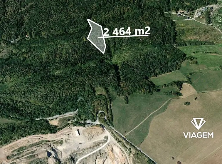 Prodej lesa 2464 m², Loděnice – náhled fotky 1
