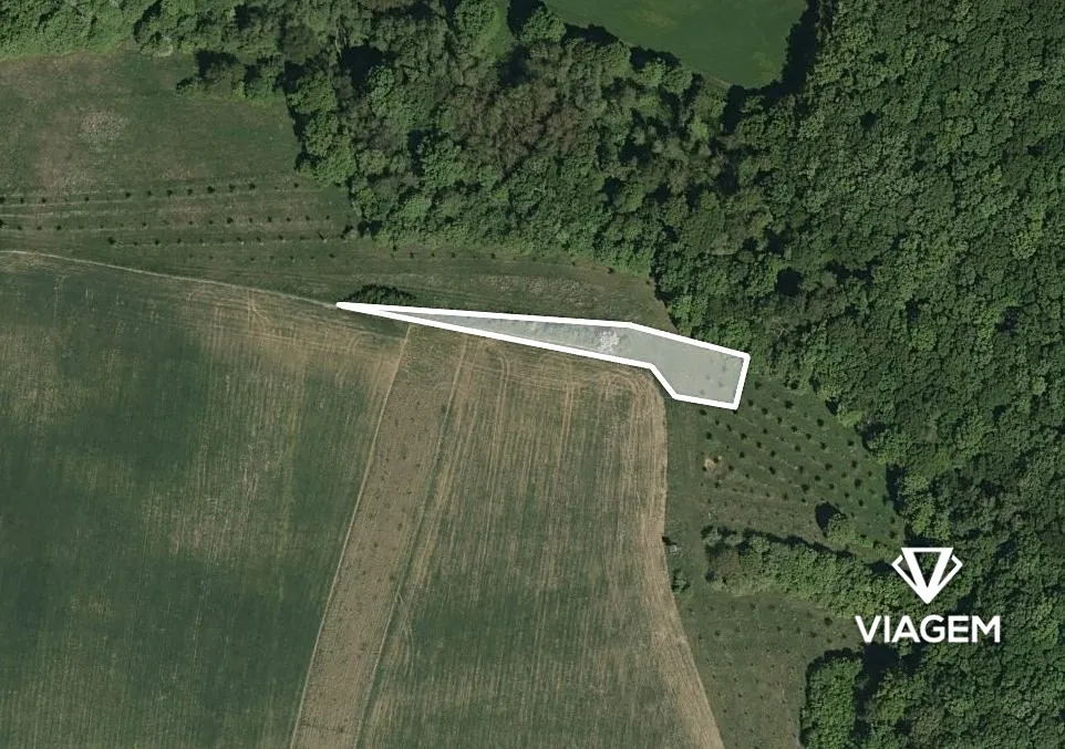 Prodej podílu 1/2 pole 688 m²