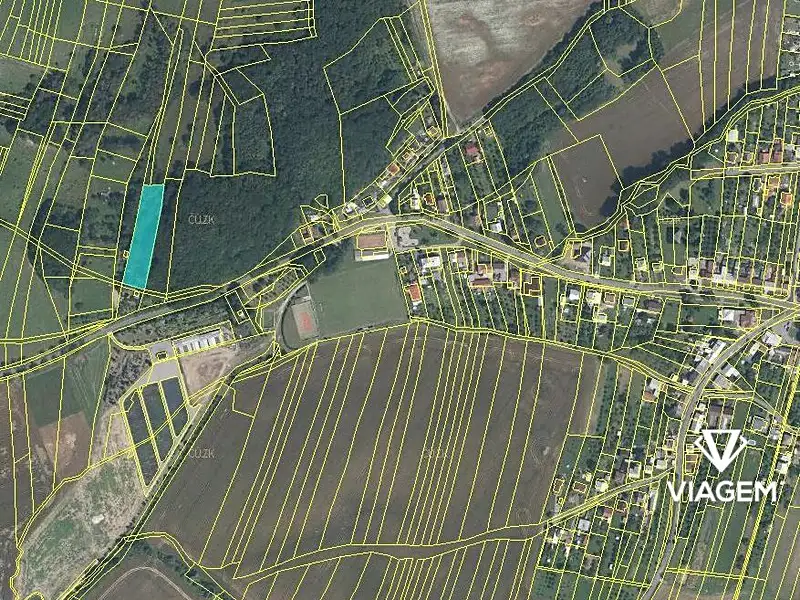 Prodej lesa 3136 m², Slavkov pod Hostýnem – náhled fotky 2