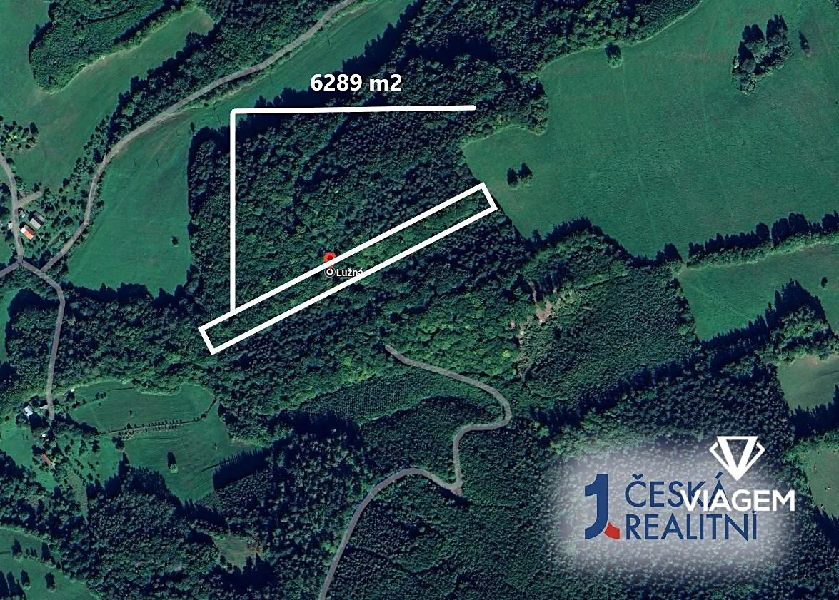 Prodej podílu 1/4 lesa 1572 m²