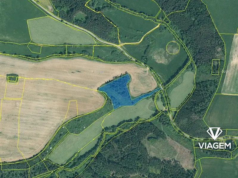 Prodej lesa 11749 m², Svojšín – náhled fotky 3