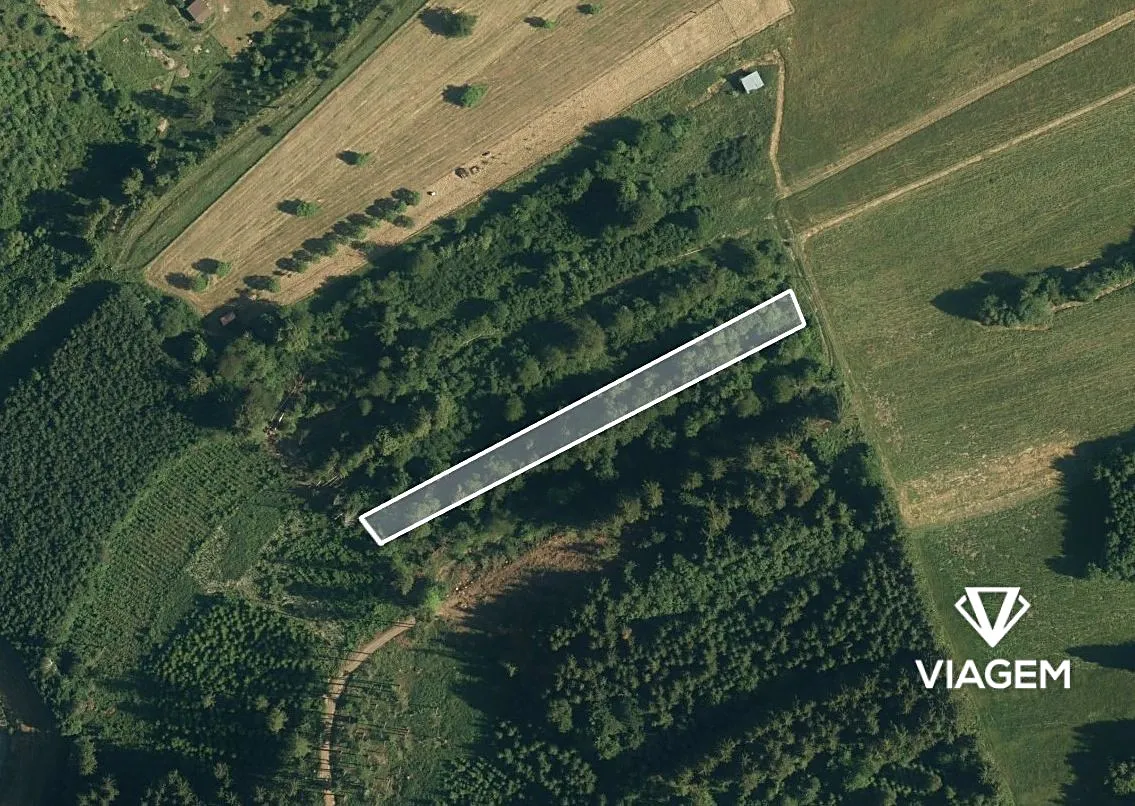 Prodej podílu 1/4 lesa 743 m²