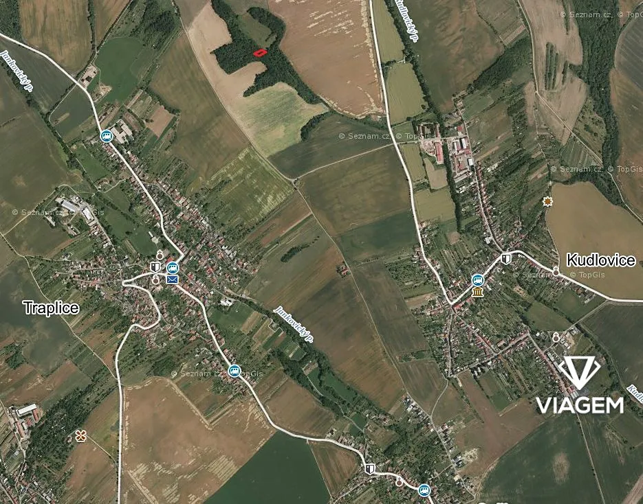 Prodej lesa 316 m²