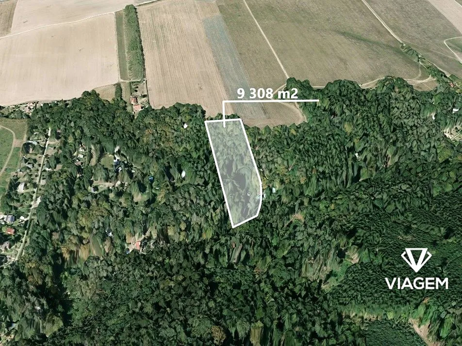 Prodej lesa 9308 m²