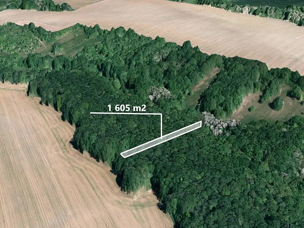 Prodej podílu 1/2 lesa 735 m²