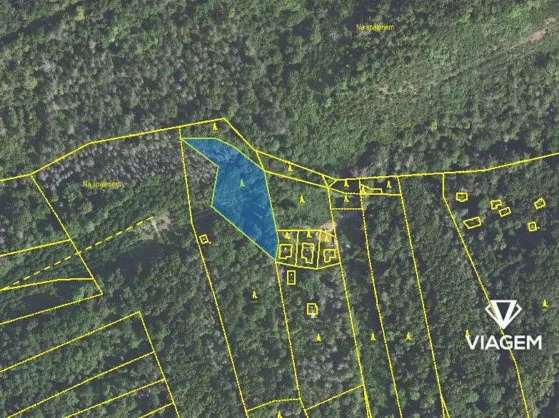 Prodej lesa 2464 m², Loděnice – náhled fotky 2