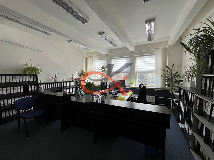 Gewerbefläche zur Miete, 124 m² (7 von 19)