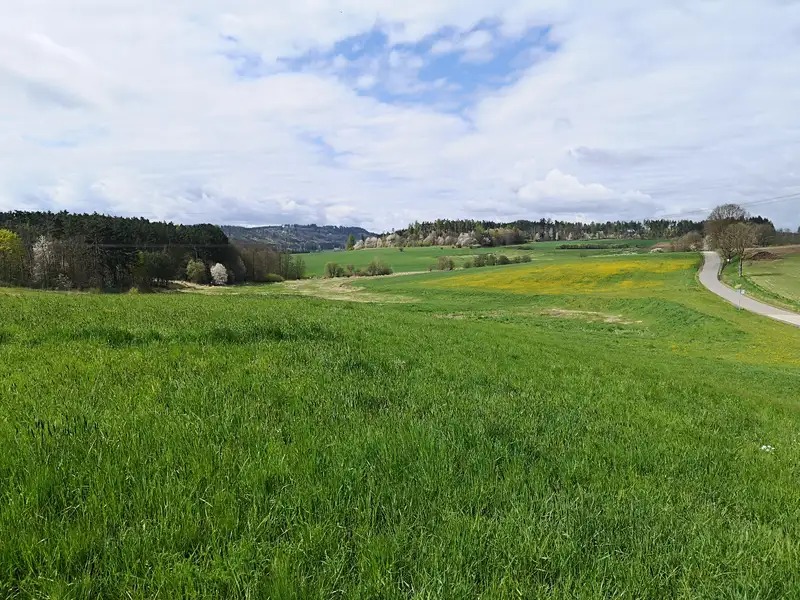 Prodej stavebního pozemku 9500 m², Radomyšl – náhled fotky 2