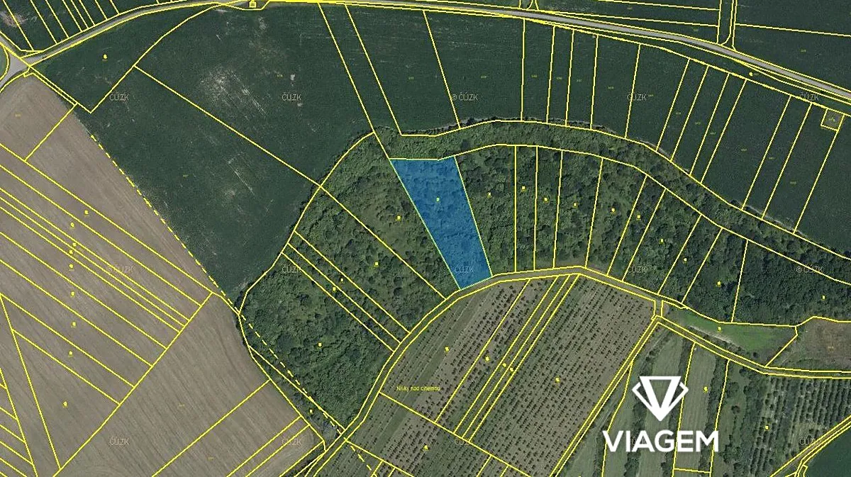 Prodej pole 4483 m²