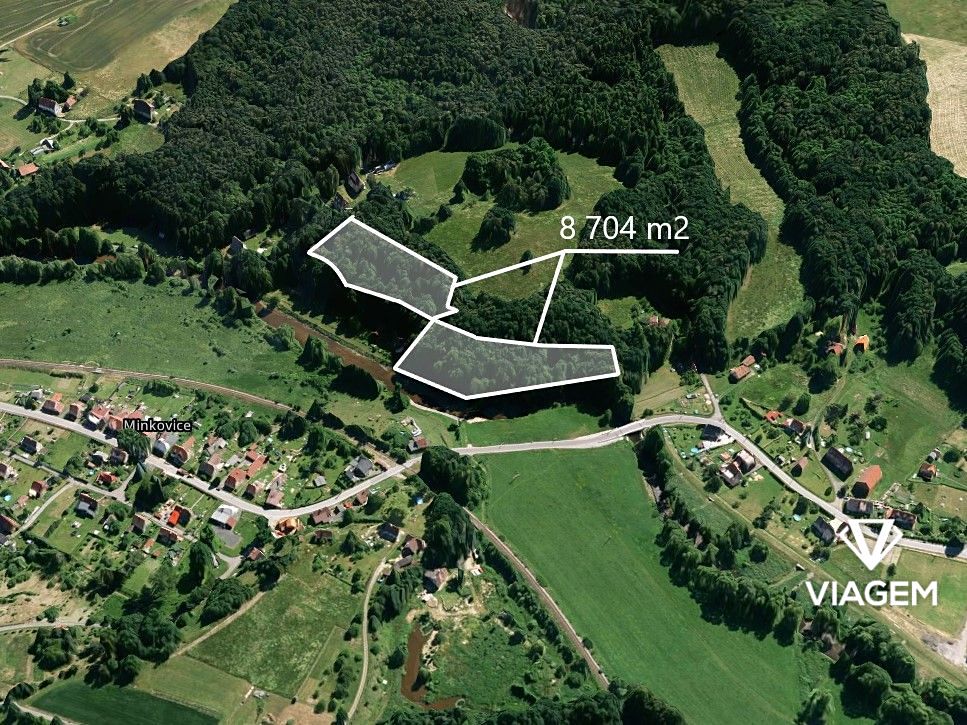Prodej lesa 8074 m²