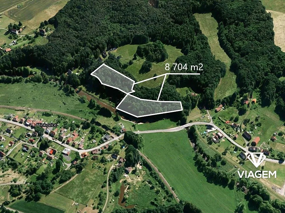 Prodej lesa 8074 m²