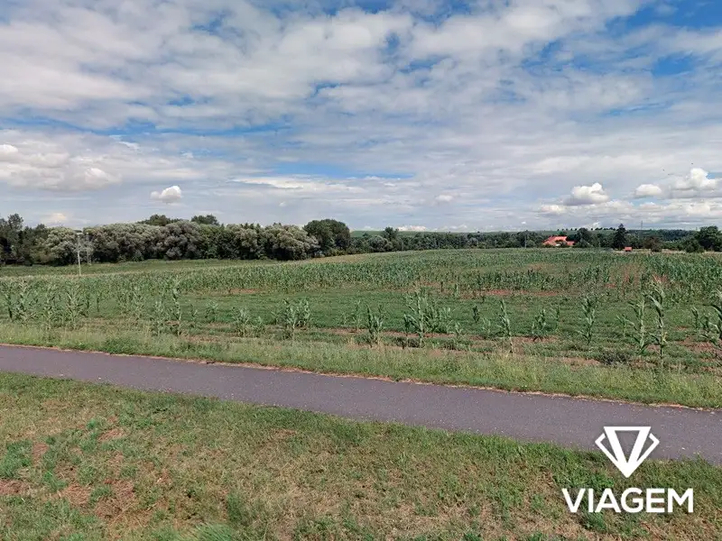 Prodej pole 5054 m², Víceměřice – náhled fotky 1