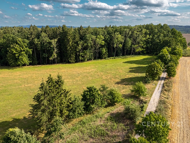 Gewerbefläche zum Kauf, 600 m² (8 von 40)