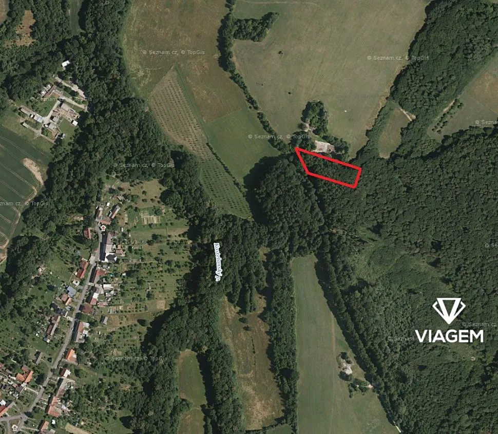 Prodej podílu 1/4 lesa 720 m²