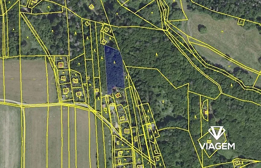 Prodej lesa 2555 m²