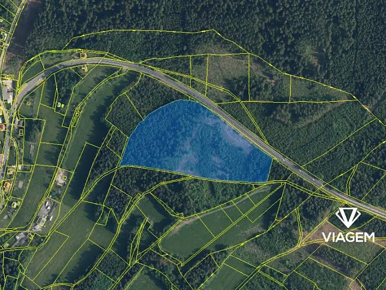 Prodej lesa 41323 m², Loužnice – náhled fotky 3