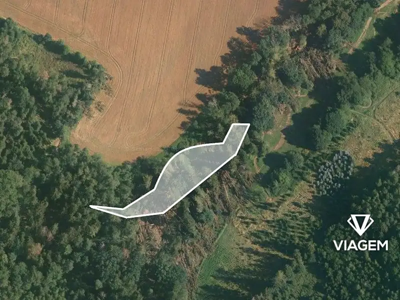 Prodej lesa 1886 m², Jablonná – náhled fotky 2