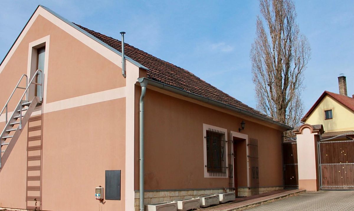 Prodej rodinného domu 650 m², pozemek 2805 m² – fotografie 3